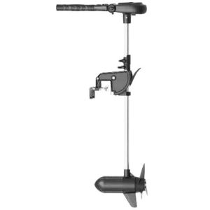 Электромотор Haswing Protruar 3.0 24V